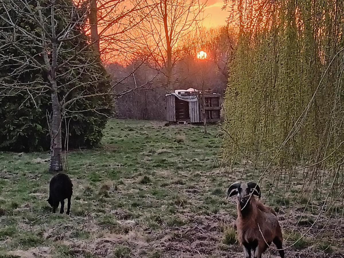 Les Chambres Du Vert Galant "Coucher De Soleil" Verlinghem Esterno foto